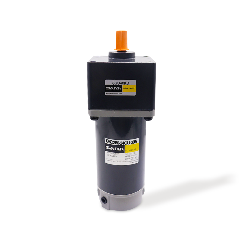 250W Berus DC Gear Motors